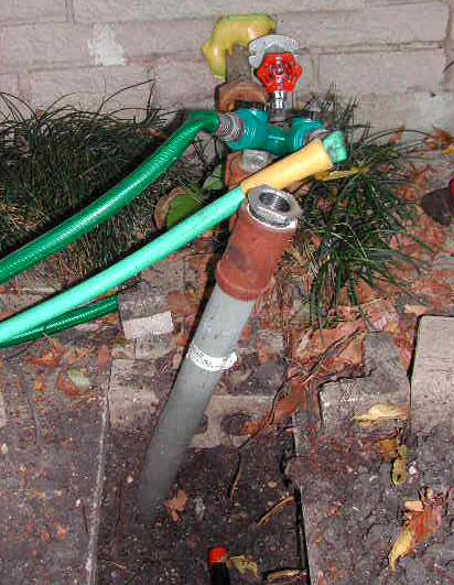 try to ignore the garden hoses, as I did