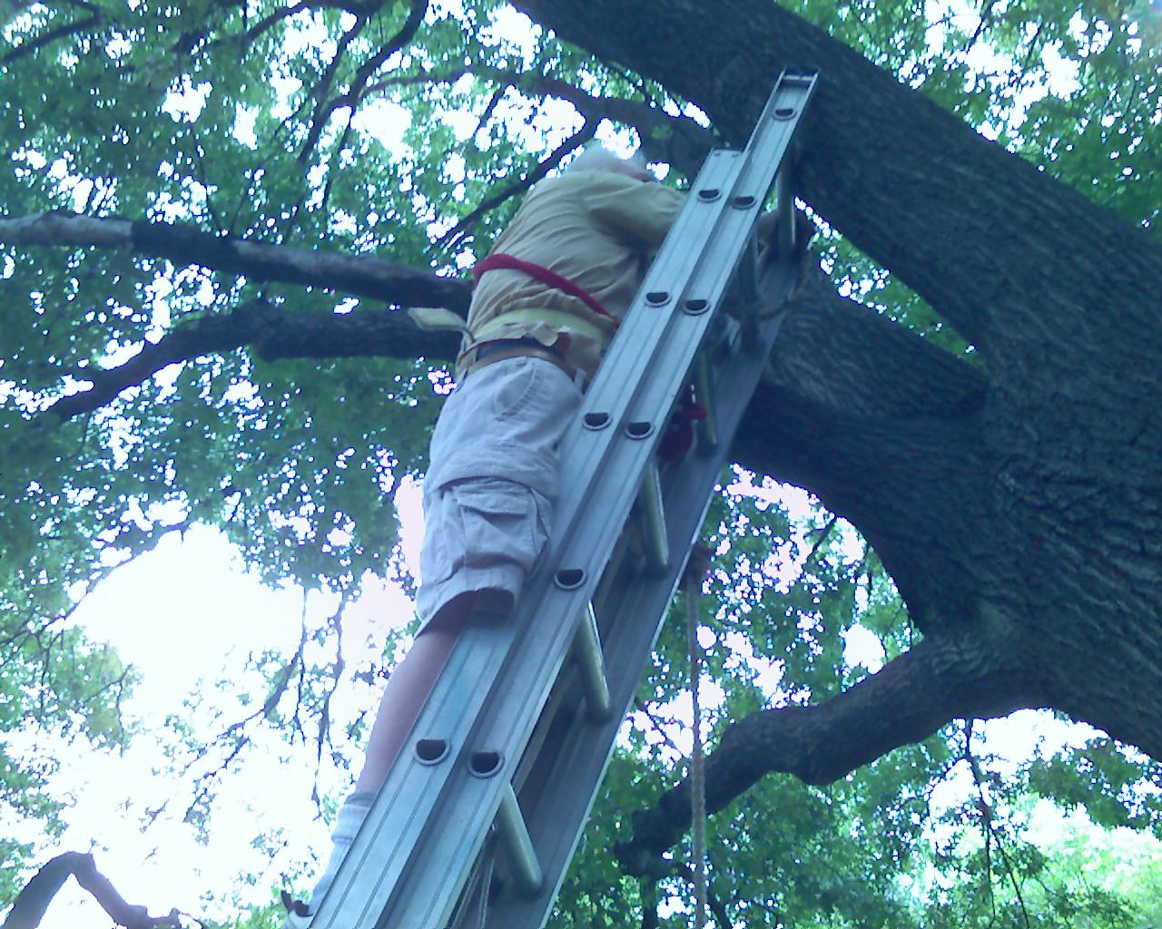 Shorts, yes. But a chainsaw wouldn't stop at denim, anyway.