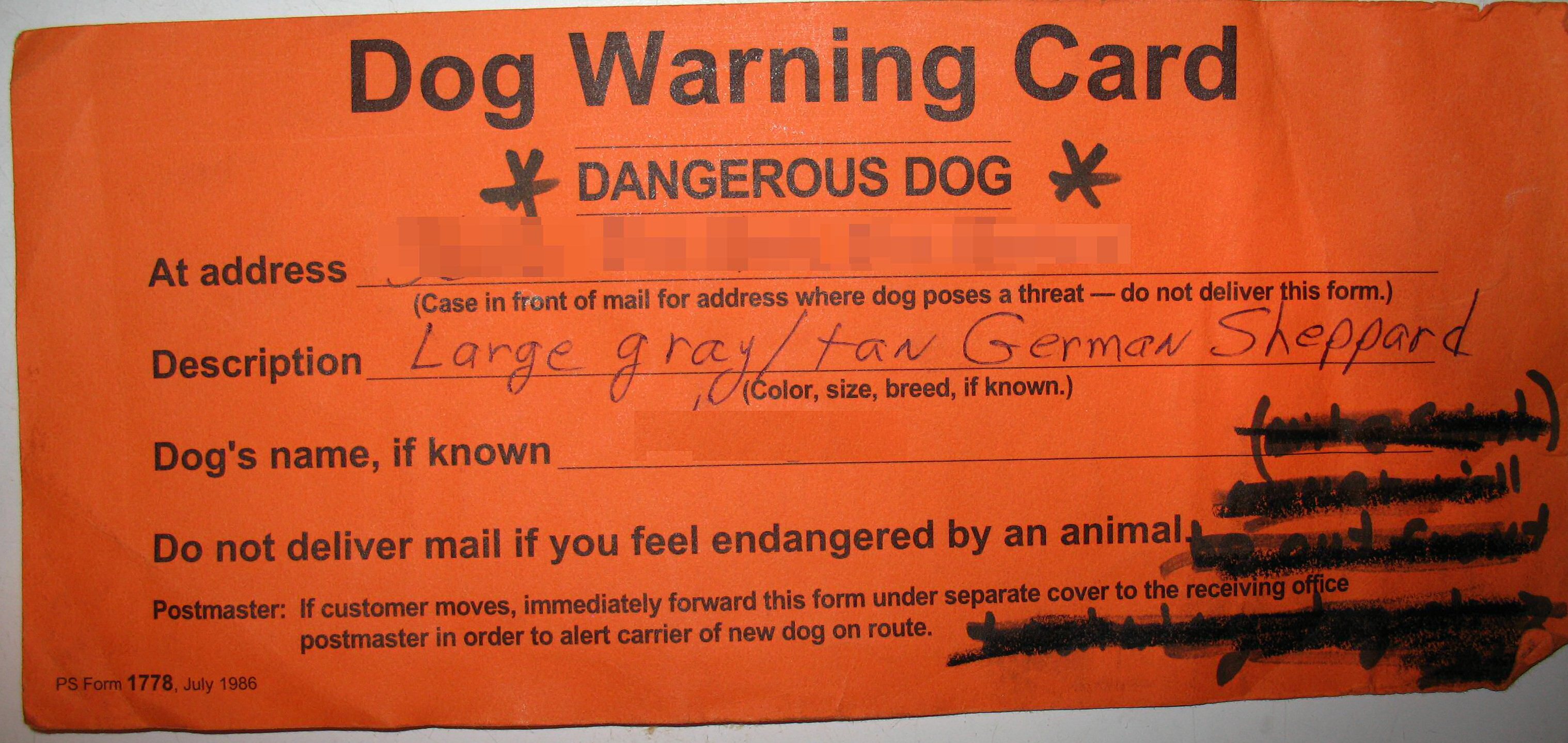 you're on file, Wolf Dog